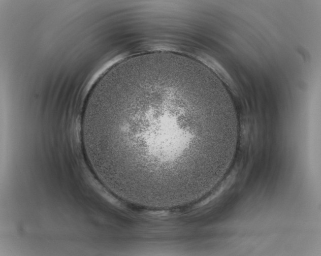 X0000115820798200911131443