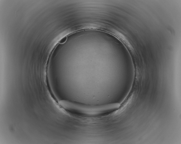 X0000115820802200911131443