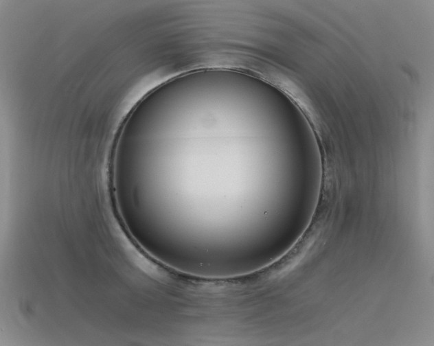 X0000115820803200911131443