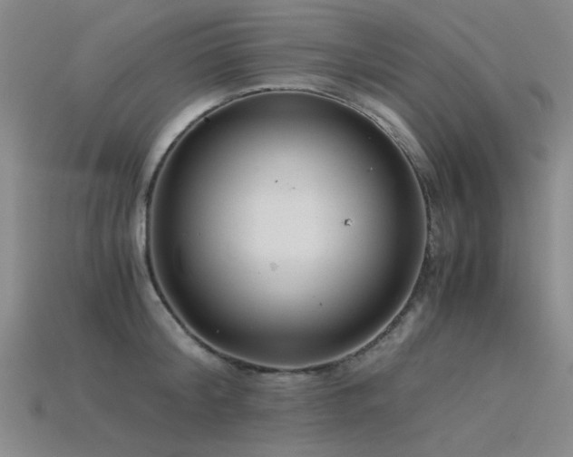 X0000115820804200911131443