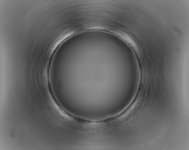 X0000115820806200911131443