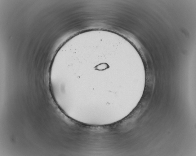 X0000115820807200911131443