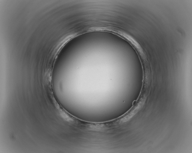 X0000115820809200911131443