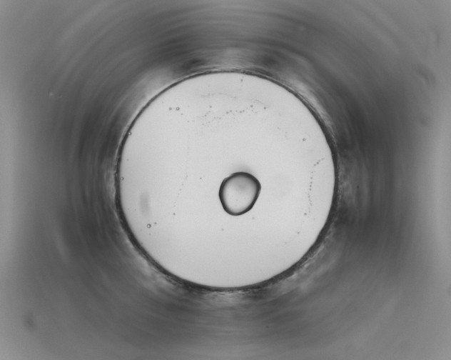 X0000115820810200911131443