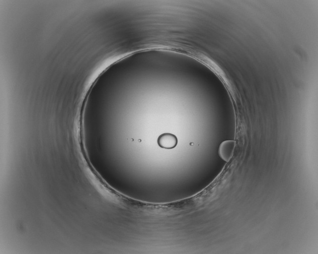 X0000115820811200911131443