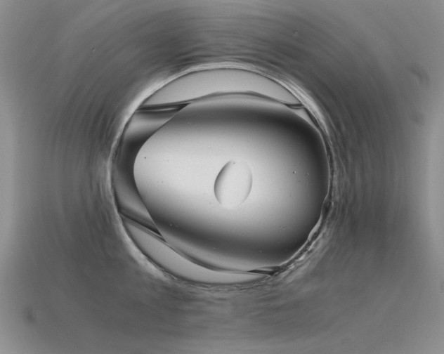 X0000115820813200911131443