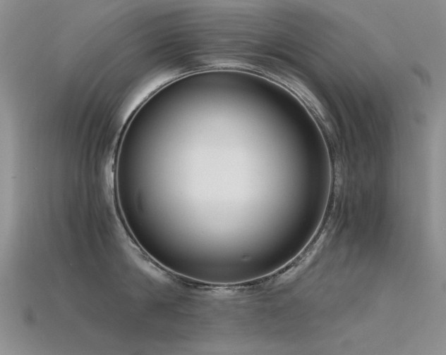 X0000115820814200911131443