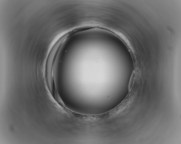 X0000115820815200911131443