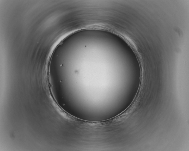 X0000115820816200911131443