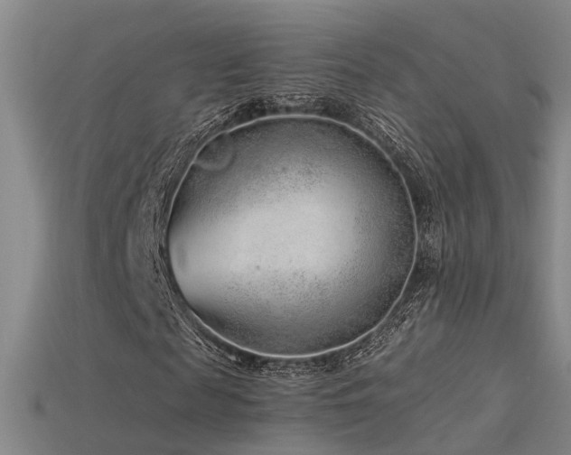 X0000115820817200911131442