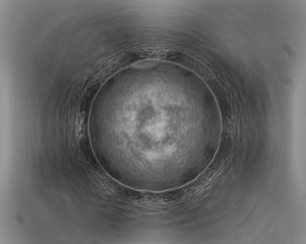 X0000115820818200911131442