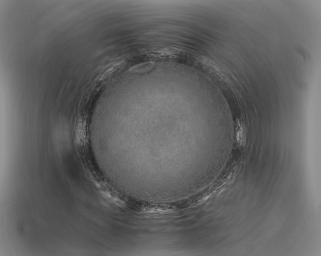 X0000115820819200911131442