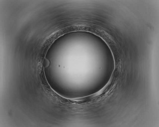 X0000115820821200911131442