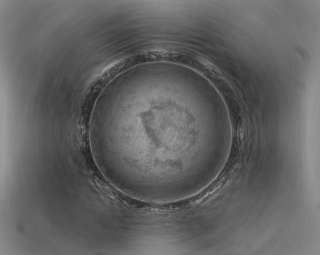 X0000115820822200911131442