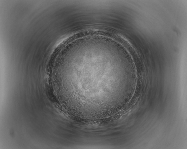 X0000115820823200911131442