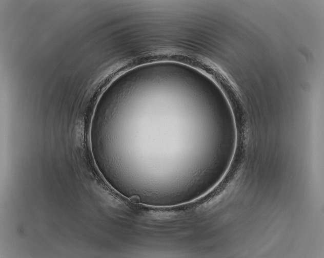 X0000115820825200911131442