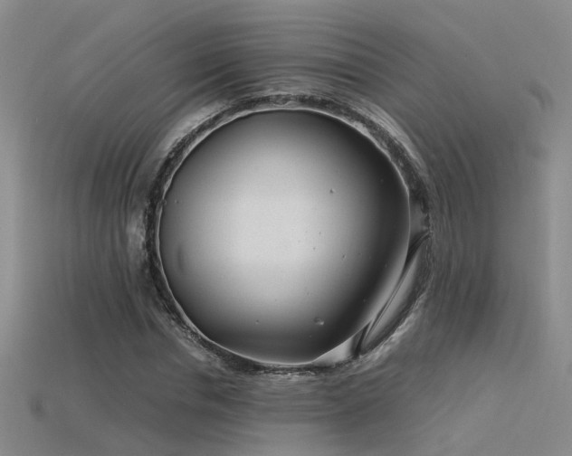 X0000115820826200911131442