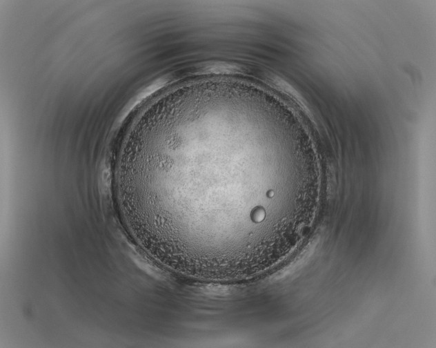 X0000115820827200911131442