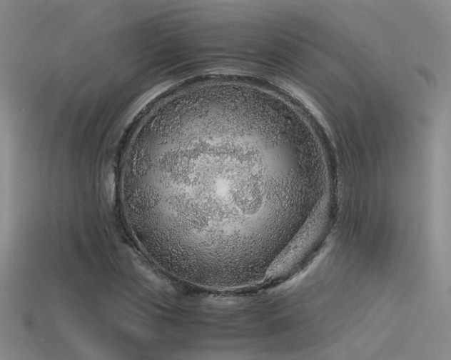 X0000115820829200911131442