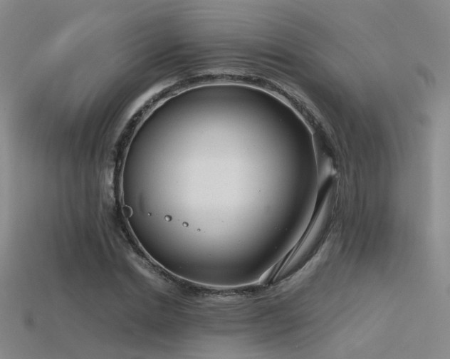 X0000115820830200911131442