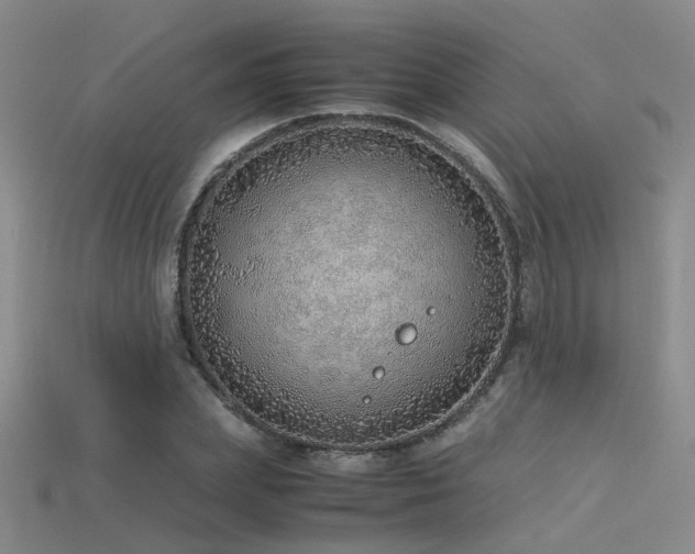 X0000115820831200911131442