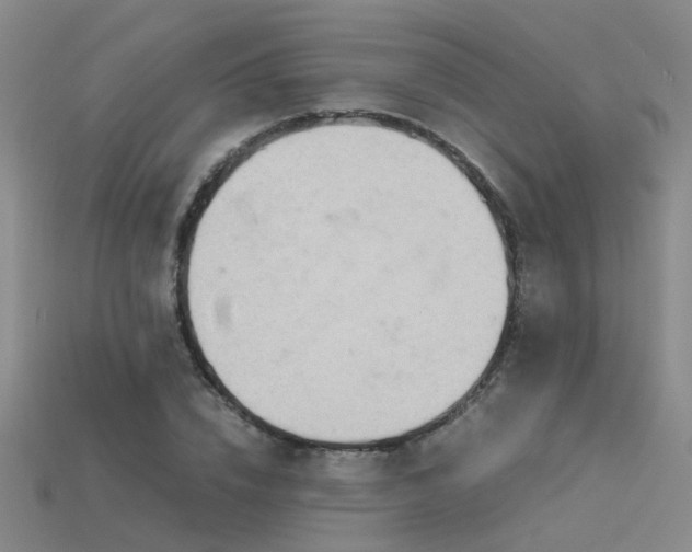 X0000115820832200911131442