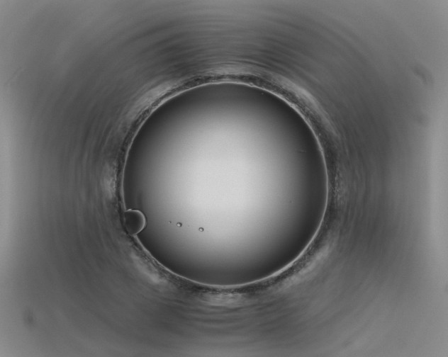 X0000115820833200911131442