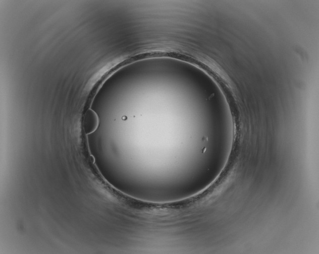 X0000115820834200911131442