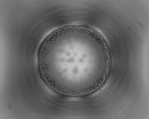 X0000115820835200911131442