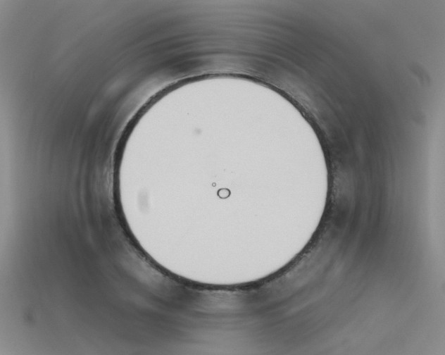 X0000115820836200911131443