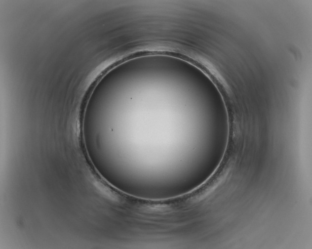 X0000115820837200911131443