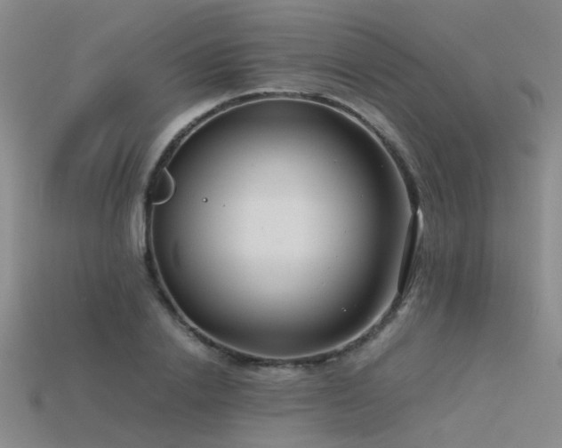 X0000115820838200911131443