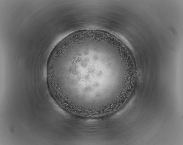 X0000115820839200911131443