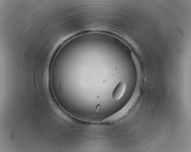 X0000115820840200911131443