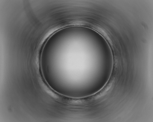 X0000115820843200911131443