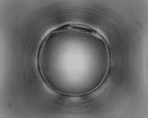 X0000115820845200911131443