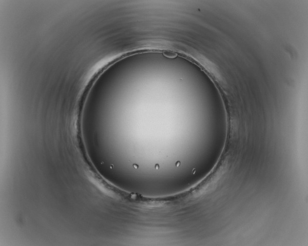 X0000115820846200911131443