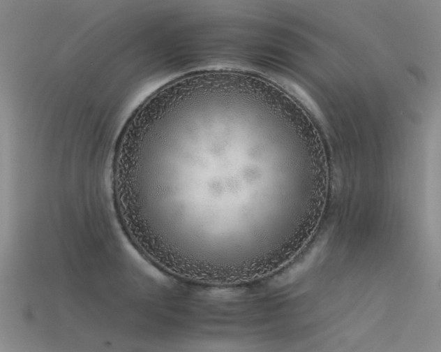 X0000115820847200911131443