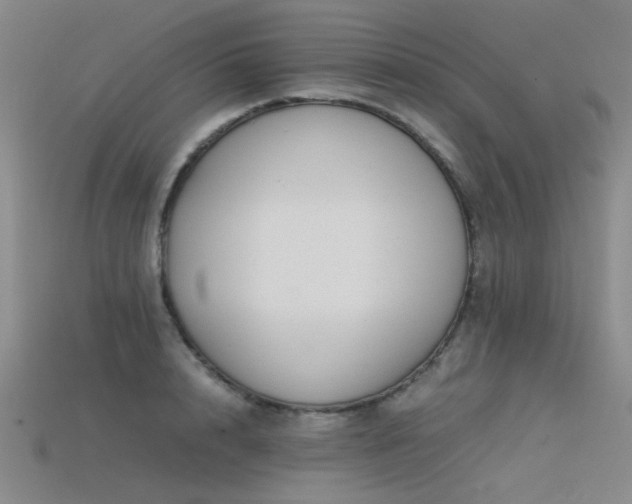 X0000115820848200911131443