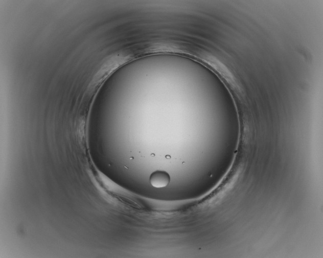 X0000115820849200911131443