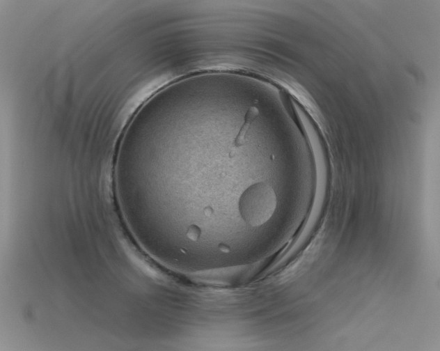 X0000115820850200911131443