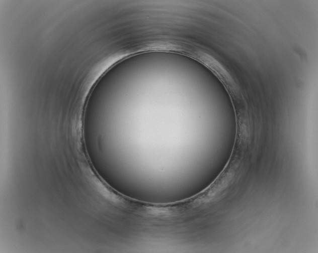 X0000115820852200911131443