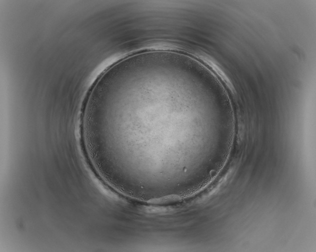 X0000115820853200911131443