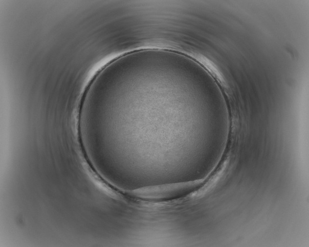 X0000115820854200911131443