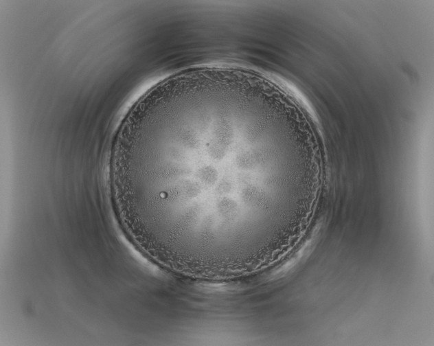 X0000115820855200911131443