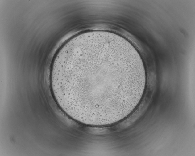 X0000115820856200911131443