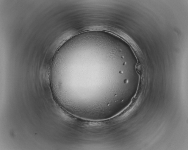 X0000115820857200911131443