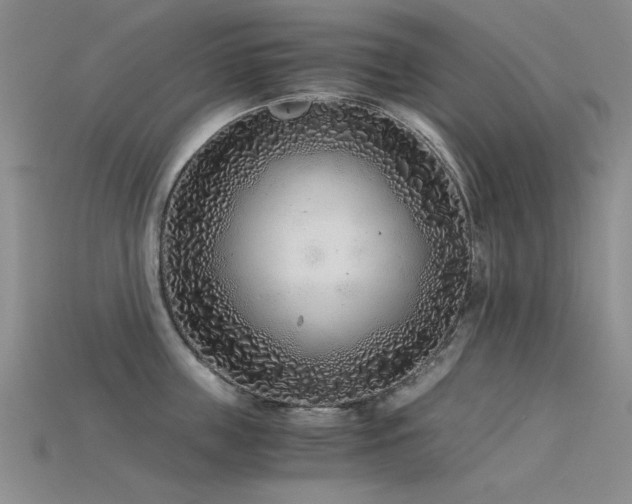 X0000115820859200911131443