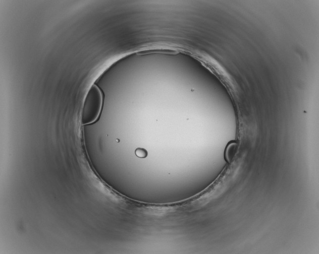 X0000115820860200911131443