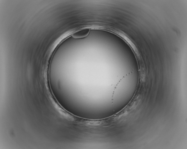 X0000115820861200911131443